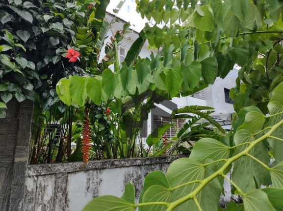 Imagem Casa com 6 Quartos à Venda, 270 m² em Poço Da Panela - Recife