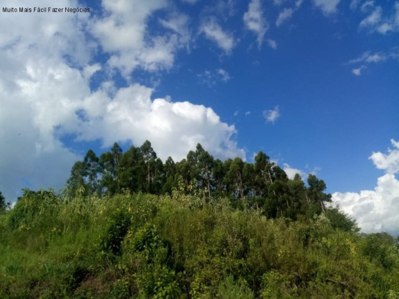 Imagem Terreno à Venda, 3 m² em Fazenda Pirajá - Nova Petrópolis