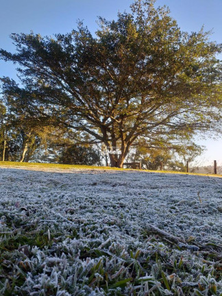 Imagem Imóvel à Venda, 20 m² em Martinica - Viamão Imagem Imóvel à Venda, 20 m² em Martinica - Viamão