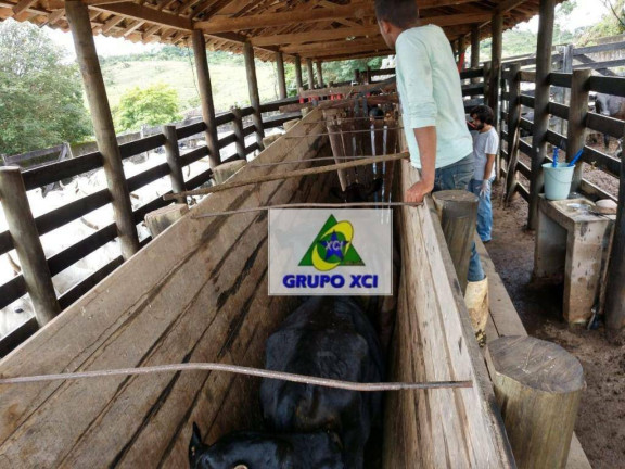Imagem Fazenda à Venda, 2.560.000 m² em Zona Rural - São Tiago Imagem Fazenda à Venda, 2.560.000 m² em Zona Rural - São Tiago
