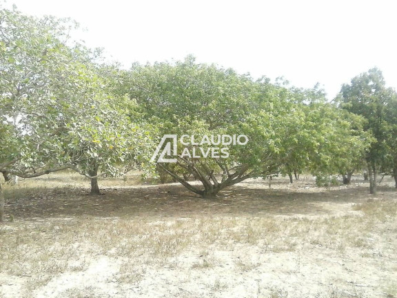 Imagem Terreno à Venda, 10 m² em Jaíba - Feira De Santana