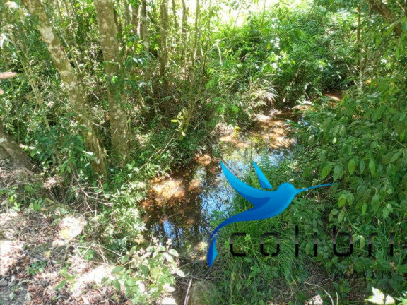 Imagem Chácara com 2 Quartos à Venda, 31.550 m² em Papanduva - Agudos Do Sul Imagem Chácara com 2 Quartos à Venda, 31.550 m² em Papanduva - Agudos Do Sul