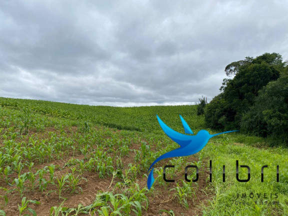Imagem Chácara à Venda, 20.637 m² em Lagoa Dos Pretos - Agudos Do Sul