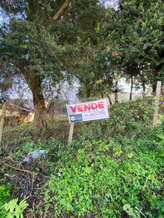 Terreno à Venda, 303 m² em Mossunguê - Curitiba