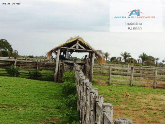 Imagem Fazenda à Venda, 58.000 m² em Cáceres Imagem Fazenda à Venda, 58.000 m² em Cáceres