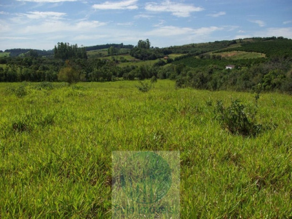 Imagem Imóvel com 3 Quartos à Venda, 220.000 m² em Zona Rural - Jacui