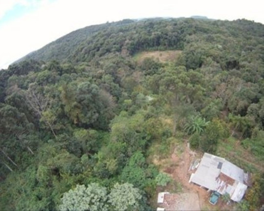 Imagem Terreno à Venda, 3 m² em Logradouro - Nova Petrópolis Imagem Terreno à Venda, 3 m² em Logradouro - Nova Petrópolis