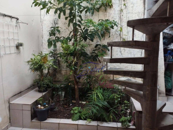 Imagem Casa com 3 Quartos à Venda, 141 m² em Vila Sônia - São Paulo