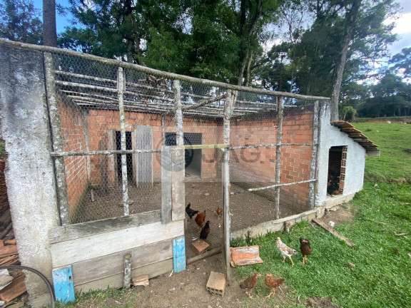 Imagem Imóvel com 6 Quartos à Venda, 3.000 m² em Distrito Industrial - Campina Grande Do Sul Imagem Imóvel com 6 Quartos à Venda, 3.000 m² em Distrito Industrial - Campina Grande Do Sul