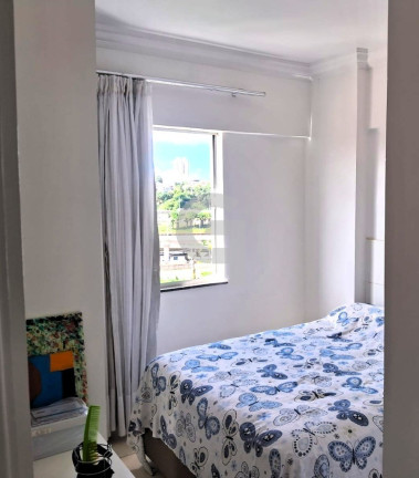 Imagem Apartamento com 2 Quartos à Venda, 49 m² em Santa Teresa - Salvador Imagem Apartamento com 2 Quartos à Venda, 49 m² em Santa Teresa - Salvador