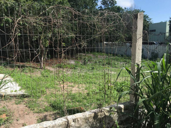 Imagem Terreno à Venda, em Centro Da Praia De Pipa - Tibau Do Sul Imagem Terreno à Venda, em Centro Da Praia De Pipa - Tibau Do Sul
