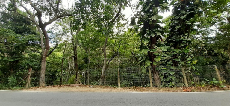 Terreno à Venda, 4.163 m² em Vargem Grande - Florianópolis
