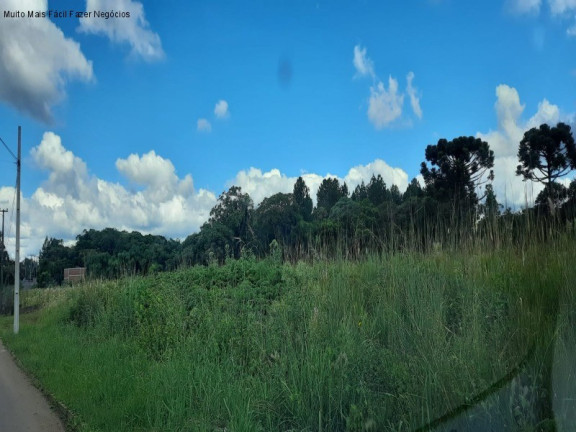 Imagem Terreno à Venda, 12.438 m² em Germânia - Nova Petrópolis Imagem Terreno à Venda, 12.438 m² em Germânia - Nova Petrópolis