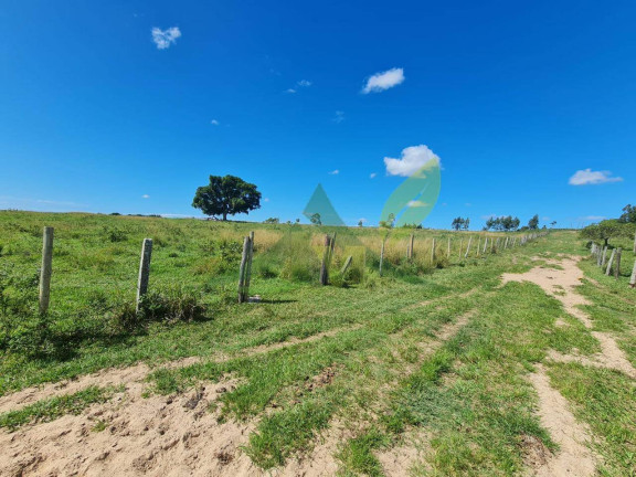 Imagem Fazenda à Venda, 1.258.400 m² em Centro - Araruama Imagem Fazenda à Venda, 1.258.400 m² em Centro - Araruama