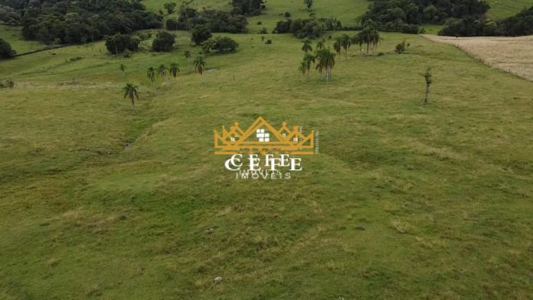 Imagem Imóvel à Venda, 20 m² em Zona Rural - Igrejinha Imagem Imóvel à Venda, 20 m² em Zona Rural - Igrejinha