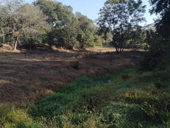 Imagem Chácara com 4 Quartos à Venda, 72.600 m² em Bom Retiro - Porto Feliz