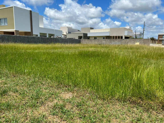 Imagem Terreno à Venda, 500 m² em Zona De Expansão (mosqueiro) - Aracaju Imagem Terreno à Venda, 500 m² em Zona De Expansão (mosqueiro) - Aracaju