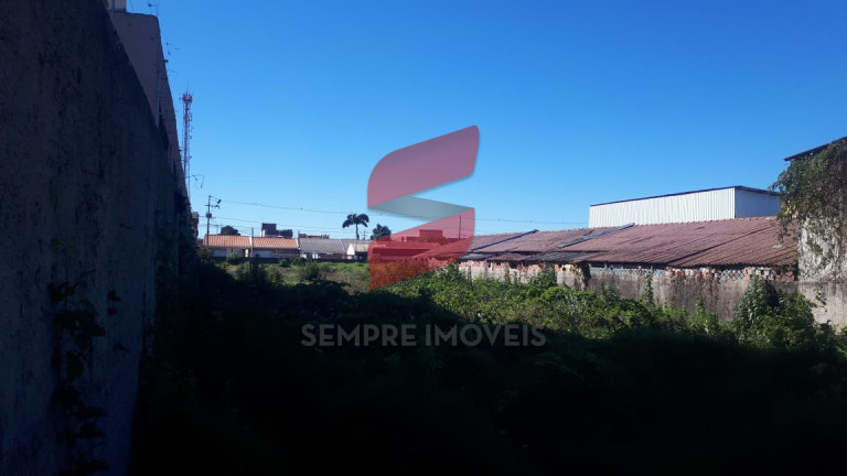 Imagem Terreno à Venda, 3.000 m² em Independência - São José Dos Pinhais Imagem Terreno à Venda, 3.000 m² em Independência - São José Dos Pinhais