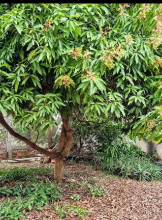 Imagem Casa com 4 Quartos à Venda, 160 m² em Fazenda Castelo - Boituva Imagem Casa com 4 Quartos à Venda, 160 m² em Fazenda Castelo - Boituva