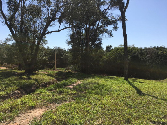 Imagem Terreno à Venda, 355 m² em Centro - Pardinho
