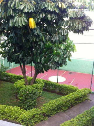 Imagem Apartamento com 3 Quartos à Venda, 80 m² em Jardim Japão - São Paulo Imagem Apartamento com 3 Quartos à Venda, 80 m² em Jardim Japão - São Paulo