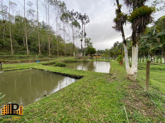 Imagem Imóvel com 4 Quartos à Venda, 490 m² em Bairro Dos Messias - Miracatu