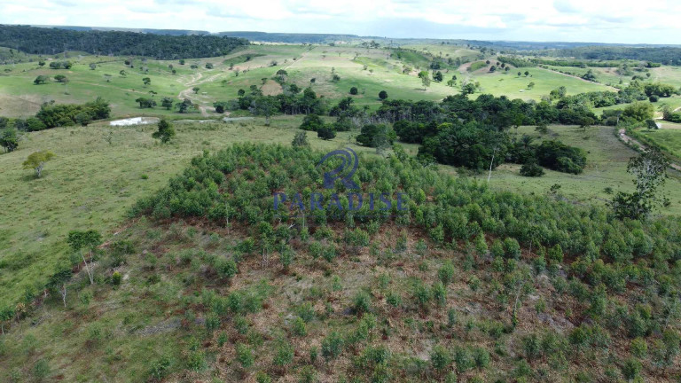 Imagem Fazenda à Venda, 9.750.000 m² em Zona Rural - Itanagra
