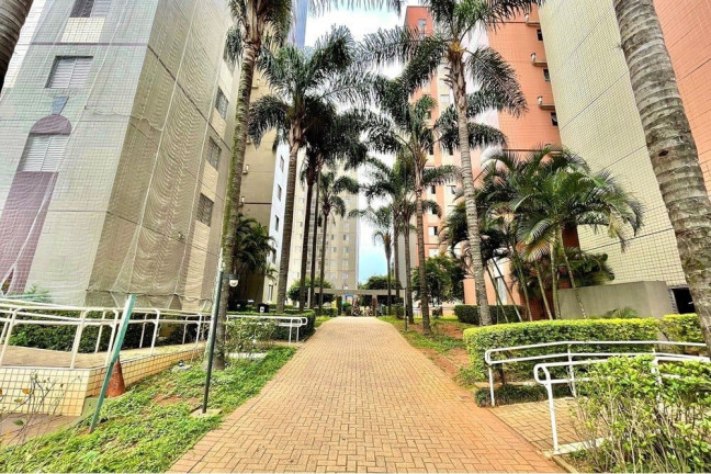 Imagem Apartamento com 3 Quartos à Venda, 61 m² em Cambuci - São Paulo Imagem Apartamento com 3 Quartos à Venda, 61 m² em Cambuci - São Paulo