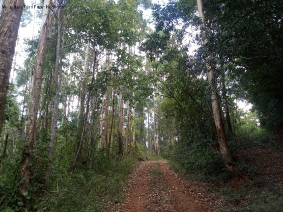 Imagem Terreno à Venda, 8 m² em Germânia - Nova Petrópolis