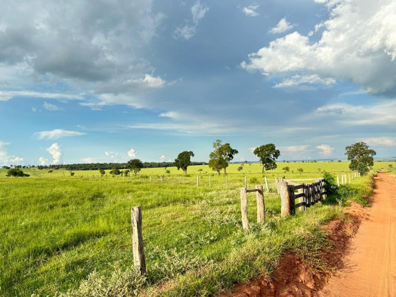 Imagem Fazenda à Venda, 5.793 m² em Rural - Nova Andradina Imagem Fazenda à Venda, 5.793 m² em Rural - Nova Andradina
