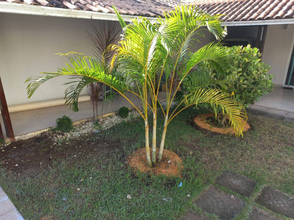 Imagem Casa com 3 Quartos à Venda, 424 m² em Nova Ponta Da Fruta - Vila Velha Imagem Casa com 3 Quartos à Venda, 424 m² em Nova Ponta Da Fruta - Vila Velha