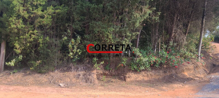 Imagem Terreno em Condomínio à Venda, 2.180 m² em Cocais - Ibiúna