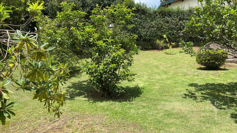 Imagem Casa com 3 Quartos à Venda, 185 m² em Bela Vista - Campos Do Jordão Imagem Casa com 3 Quartos à Venda, 185 m² em Bela Vista - Campos Do Jordão