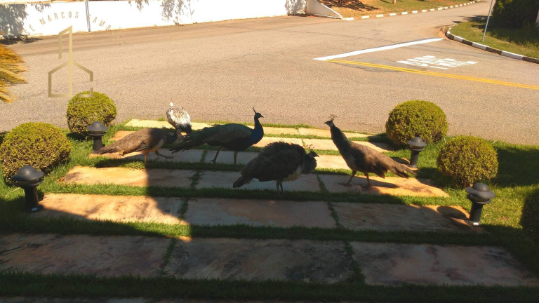 Imagem Casa de Condomínio com 4 Quartos para Alugar, 510 m² em Jardim Ibiti Do Paço - Sorocaba