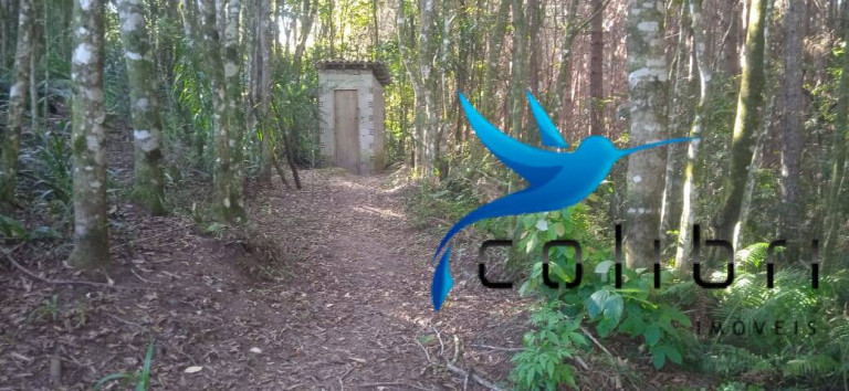 Imagem Chácara com 2 Quartos à Venda, 6.655 m² em Taboão - Agudos Do Sul