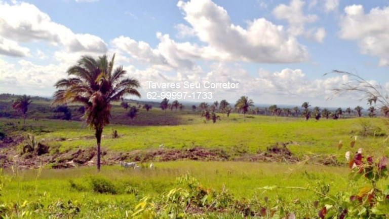 Imagem Imóvel à Venda, em Zona Rural - São Félix Do Xingu Imagem Imóvel à Venda, em Zona Rural - São Félix Do Xingu