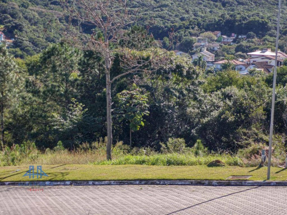 Imagem Terreno à Venda, 638 m² em Itacorubi - Florianópolis