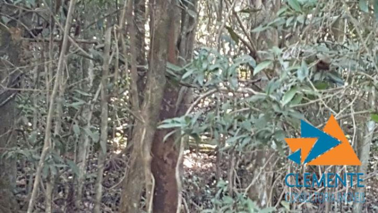 Imagem Terreno à Venda, 453 m² em Jardinaves - Nova Lima Imagem Terreno à Venda, 453 m² em Jardinaves - Nova Lima