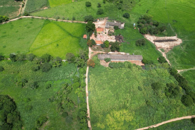 Imagem Fazenda à Venda, 31 m² em Zona Rural - Mococa Imagem Fazenda à Venda, 31 m² em Zona Rural - Mococa