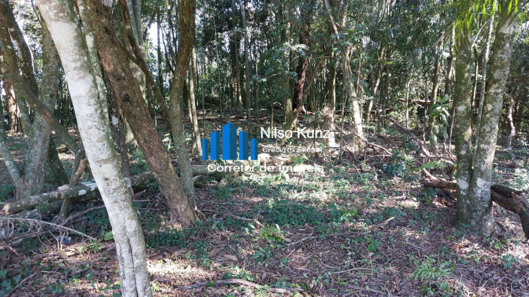 Imagem Chácara à Venda, 30 m² em Coronel Pilar Imagem Chácara à Venda, 30 m² em Coronel Pilar