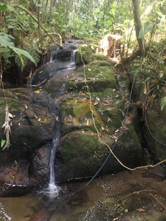 Imagem Fazenda à Venda, 15 m² em Laranjal - Imaruí Imagem Fazenda à Venda, 15 m² em Laranjal - Imaruí