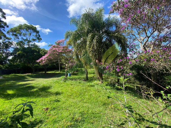 Imagem Chácara com 5 Quartos à Venda, 3.662 m² em Portão - Atibaia Imagem Chácara com 5 Quartos à Venda, 3.662 m² em Portão - Atibaia
