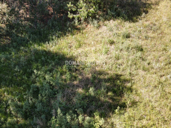 Imagem Terreno à Venda, 1.215 m² em Região Do Alto Da Boa Vista - Campos Do Jordão Imagem Terreno à Venda, 1.215 m² em Região Do Alto Da Boa Vista - Campos Do Jordão