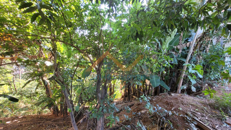 Imagem Terreno à Venda, 495 m² em Caravelas - Ipatinga