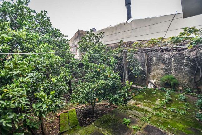 Imagem Casa de Condomínio com 3 Quartos à Venda, 100 m² em Santa Tereza - Porto Alegre