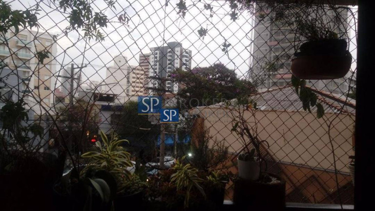 Imagem Apartamento com 3 Quartos à Venda, 180 m² em Vila Pompeia - São Paulo Imagem Apartamento com 3 Quartos à Venda, 180 m² em Vila Pompeia - São Paulo