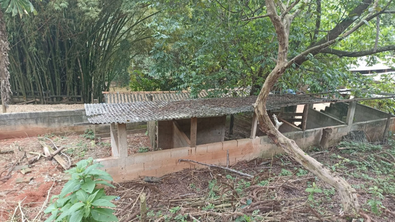 Imagem Chácara com 3 Quartos à Venda, 300 m² em Vila Amelia - Paraibuna Imagem Chácara com 3 Quartos à Venda, 300 m² em Vila Amelia - Paraibuna