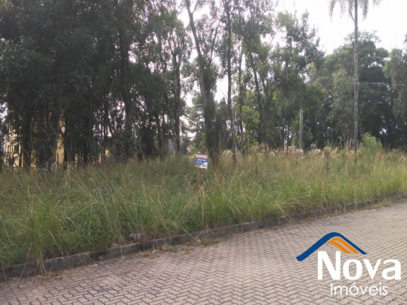 Imagem Imóvel à Venda, 450 m² em Pousada Da Neve - Nova Petrópolis