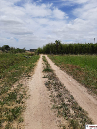 Imóvel com 2 Quartos à Venda, 60.000 m² em Zona Rural - Tapes