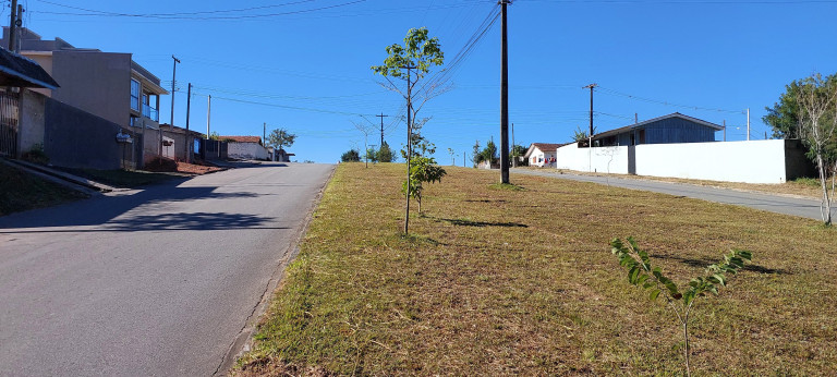 Imagem Terreno à Venda, 200 m² em Conjunto Habitacional Monsenhor Francisco Gorski - Campo Largo Imagem Terreno à Venda, 200 m² em Conjunto Habitacional Monsenhor Francisco Gorski - Campo Largo